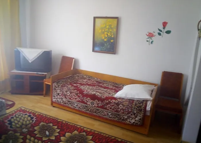 Затишна 1 Кімнатна Квартира Трускавець